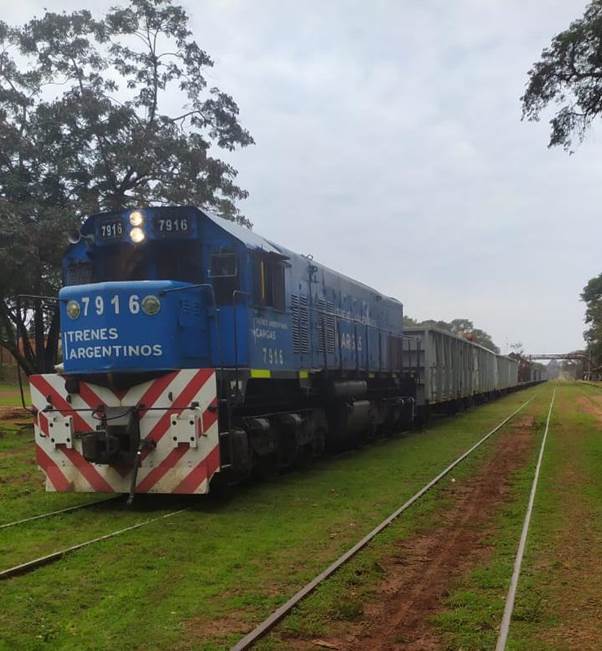 Virasoro: el tren de cargas transportó el primer cargamento de raleo con destino a China