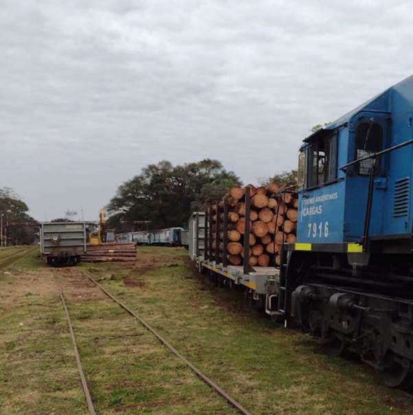 Virasoro: el tren de cargas transportó el primer cargamento de raleo con destino a China