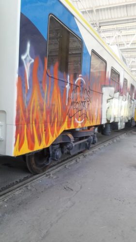 https://www.enelsubte.com/wp-content/uploads/2020/12/camello-vandalizado-281x500.jpg