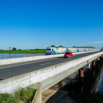 Tren a Mar del Plata: cuándo sacar los pasajes para el verano y cuánto cuestan