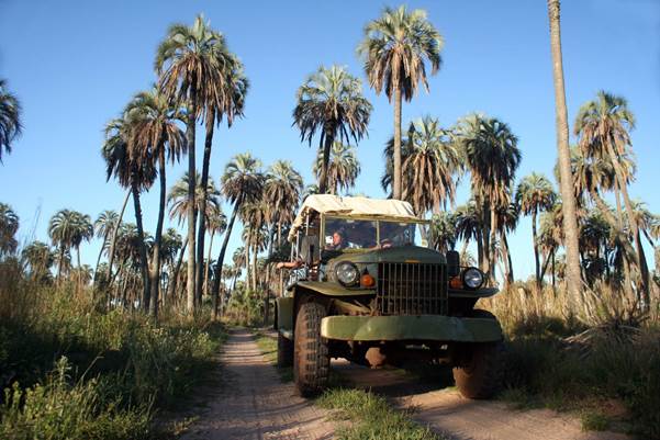 Excursión por la reserva de palmeras Yatay.